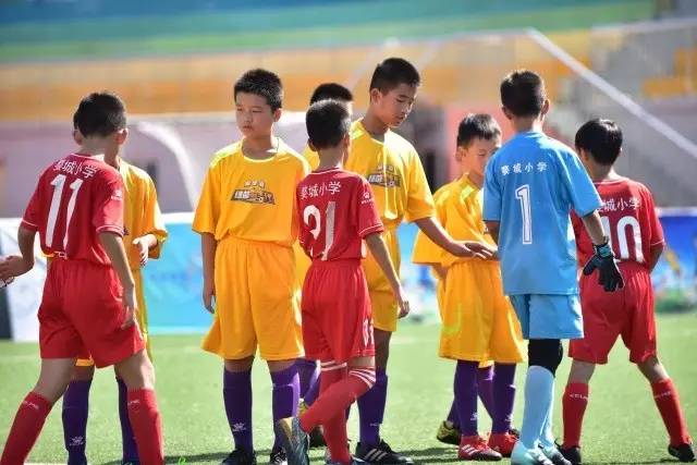 网易&大郅的故事:退役后泪崩